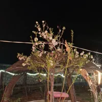 باغ ویلا معاوضه نقدی