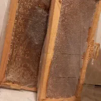 عسل