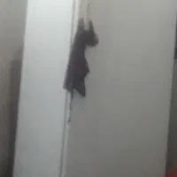 یخچال ایران پویا