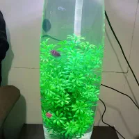 آکواریوم استوانه زیبا