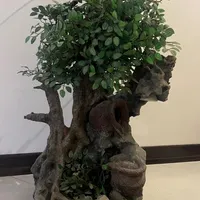 آبنما