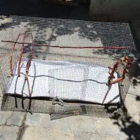 قفس پرنده