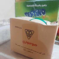 موتور کولر آبی
