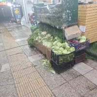 استخدام سبزی فروش ماهر شیراز