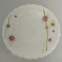 4سرویس آرکوپال 6 نفره