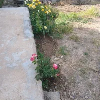 با غ ویلا فروشی