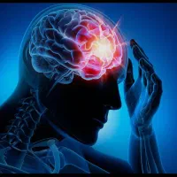 راهنمایی می کنم