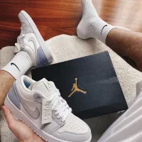 Jordan 1 Paris Low  سایز ۴۱