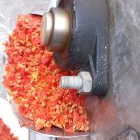 دستگاه آبگیری گوجه
