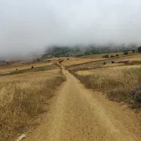 زمین خونه سری