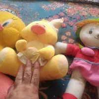 سه عدد عروسک بچگانه با یک آب سرد کن