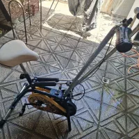 دوچرخه ثایت