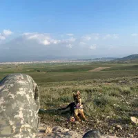 سگ ژرمن