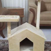 خانه و اسکرچر گربه