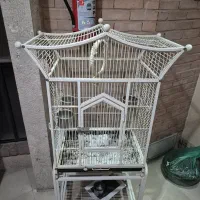 قفس سلطنتی در حد نو