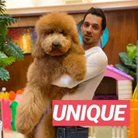 پوپتا استاندارد با جاییست پودال