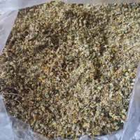 فروش ده کیلو گل بابونه تمیز بهبهان 1800کیلوی تومان