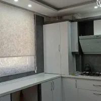 زبرا دومکانیزم مستقیم از درب کارخانه