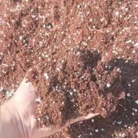 بستر آماده کاشت (خاک هلندی)
