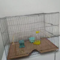 لانه پرنده