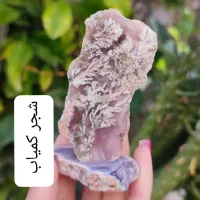 سنگ اصل شجر عقیق