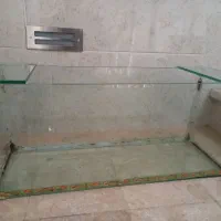 اکواریوم