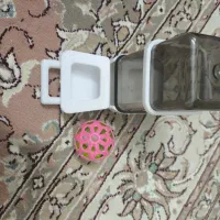 دانه خوری عروس هلندی