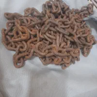 زنجیر