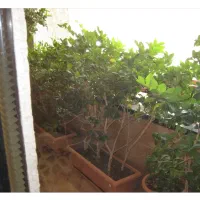 ۶۵ متر دفتر کار