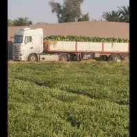 راننده پایه یک