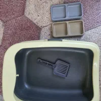 ظرف خاک و غذای گربه