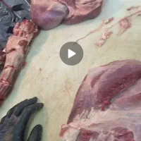 استخدام ۲۰ تا ۳۰ سال