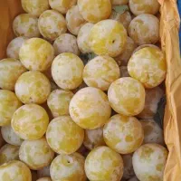 فروش الوچه زرد