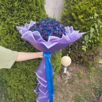 گل ربانی با شاین رایگان