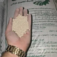 گوگرد معدنی رضایی ( گرانول و پودری )