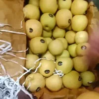 سیب سفید صادراتی تناژ بالا