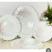 سرویس ۶نفره آرکوپال(آیروپال)
