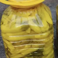 ترشی بیلهر