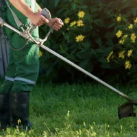 خدمات باغبانی سم پاشی و علفتراشی هرس