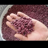 لوبیا قرمز کیلو 210