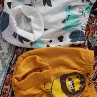 دوتاشورت عینکی نو