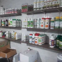 استخدام حسابدار جهت فروشگاه کشاورزی