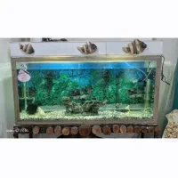 فروش آکواریوم