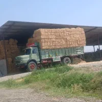 خرید و فورش کلش  کاه ویونجه