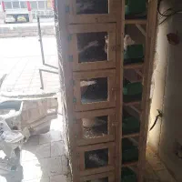 جف کن شیش طبقه کفتر