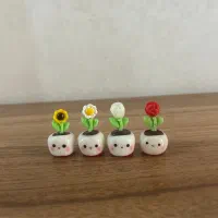 روداشبوردی گلدون شب تاب