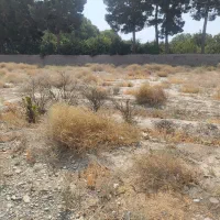 فروش زمین 1035 متری سند تک برگ