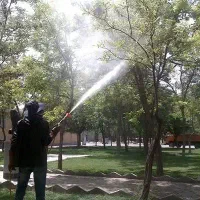 سم پاشی