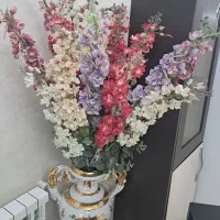 ۱۹ شاخه گل خارجی وارداتی