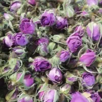 گل محمدی تازه خشک شده خوشبو
